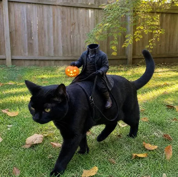 Halowly™ Headless Rider Pet Costume