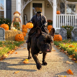 Halowly™ Headless Rider Pet Costume
