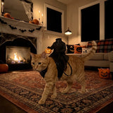 Halowly™ Headless Rider Pet Costume