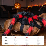 Halowly™ Spider Pet Costume